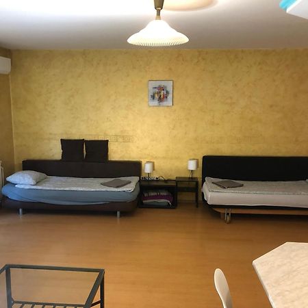 Large Apartment With Garage And Terrace Budapest Eksteriør billede