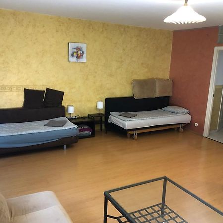 Large Apartment With Garage And Terrace Budapest Eksteriør billede