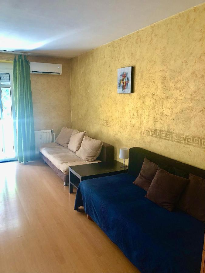 Large Apartment With Garage And Terrace Budapest Eksteriør billede