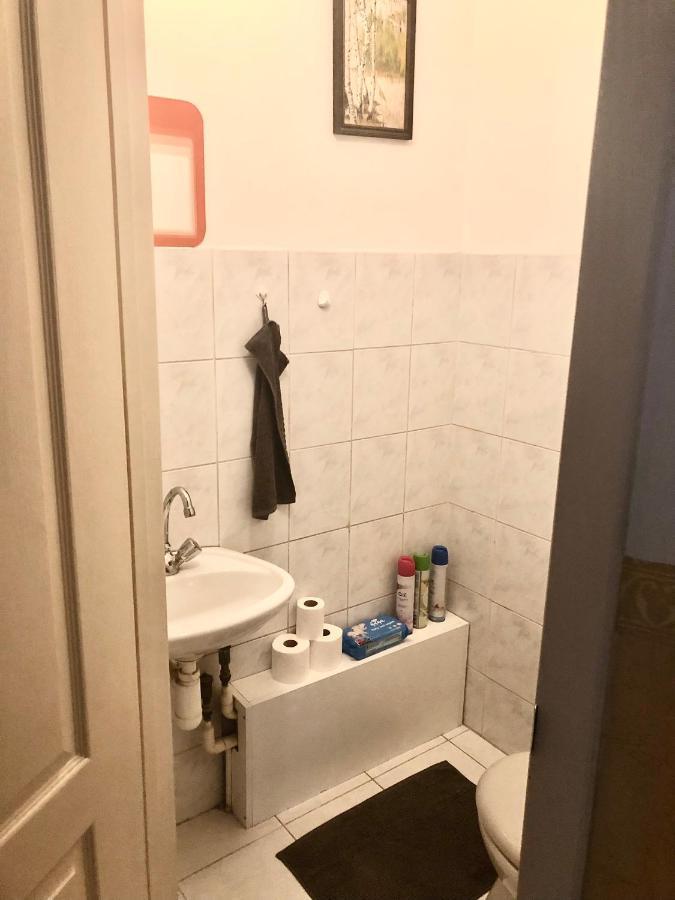 Large Apartment With Garage And Terrace Budapest Eksteriør billede